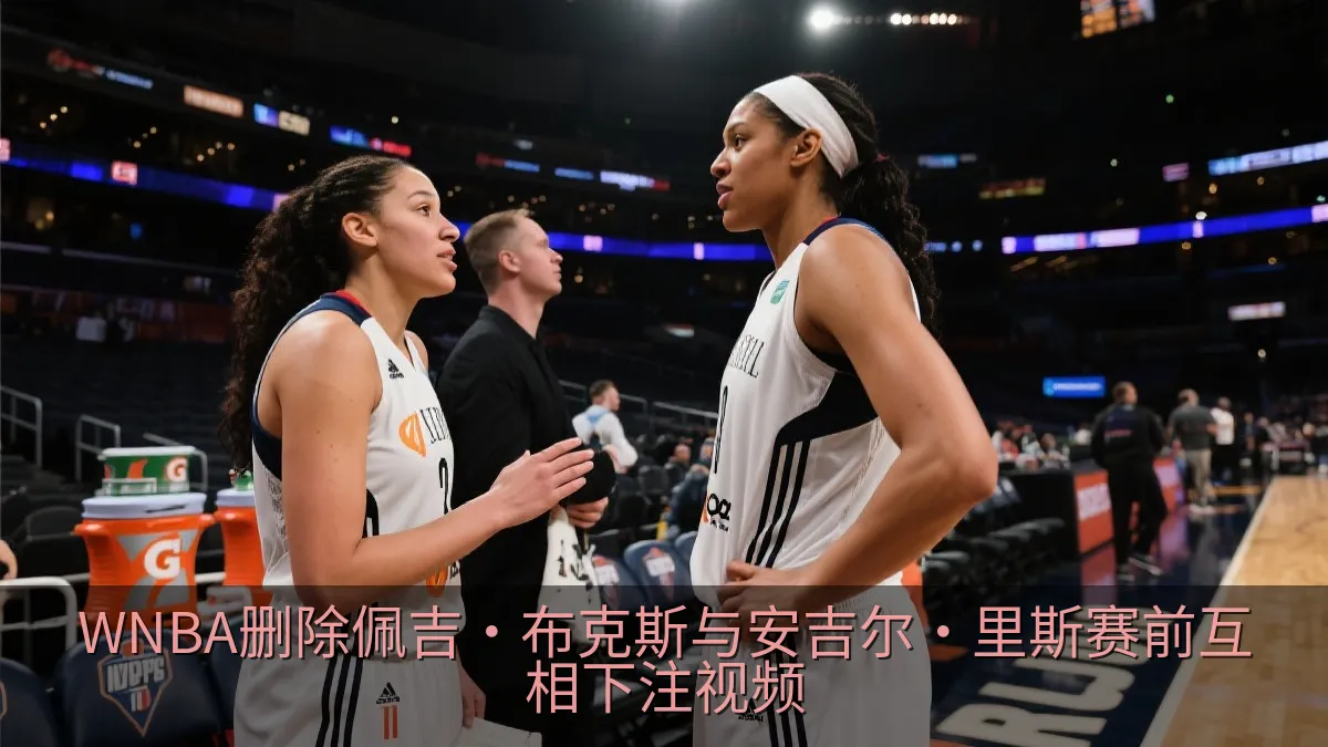 WNBA删除佩吉·布克斯与安吉尔·里斯赛前互相下注视频